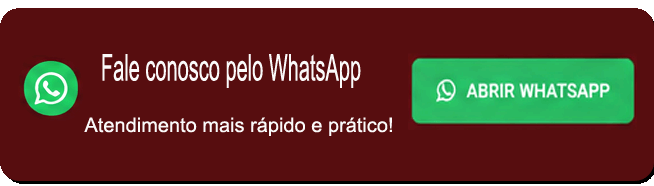 Falar pelo WhatsApp
